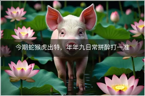 今期蛇猴虎出特，年年九日常拼醉打一准确最佳生肖,精选释义解释