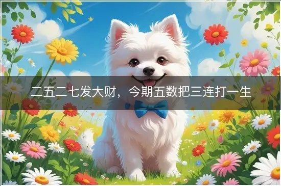 二五二七发大财，今期五数把三连打一生肖指打代表最佳生肖,释义成语精选解释