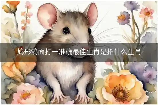 鸠形鹄面打一准确最佳生肖是指什么生肖，全面落实词语释义