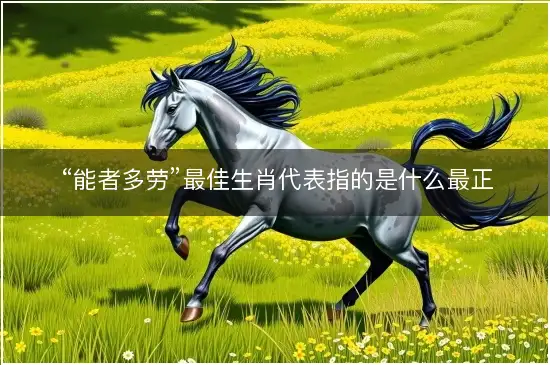 “能者多劳”最佳生肖代表指的是什么最正确生肖，全面最佳解析精选释义