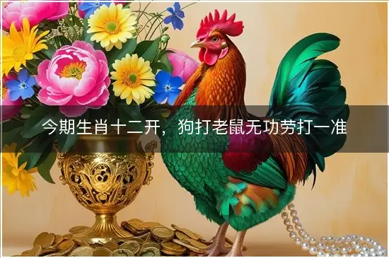 今期生肖十二开，狗打老鼠无功劳打一准确最佳生肖,精选释义解释